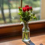 Hotel Wellness Anilife