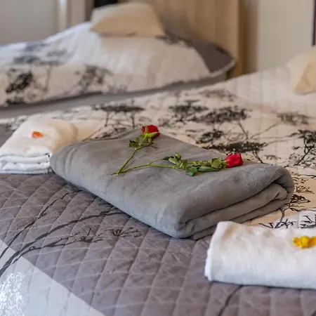 Hotel Wellness Anilife 4*