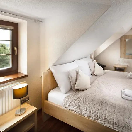 Hotel Wellness Anilife Cimer