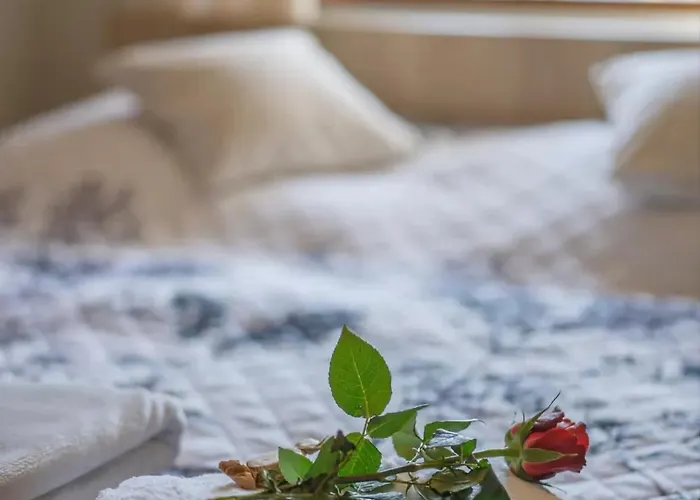 Wellness Pension Anilife Cimer