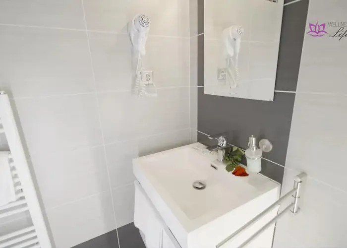 Hotel Wellness Pension Anilife Cimer