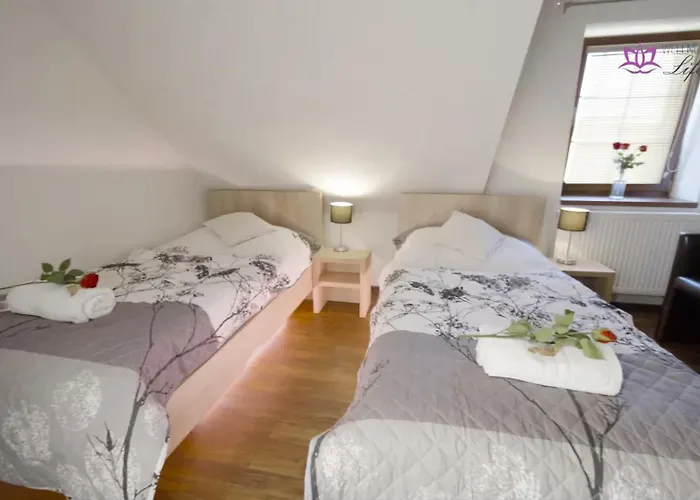 Hotel Wellness Pension Anilife 4*