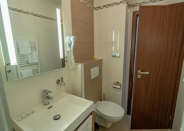 Hotel Wellness Pension Anilife 4*