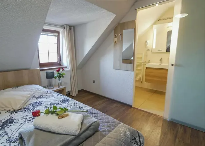 Wellness Pension Anilife 4* Cimer