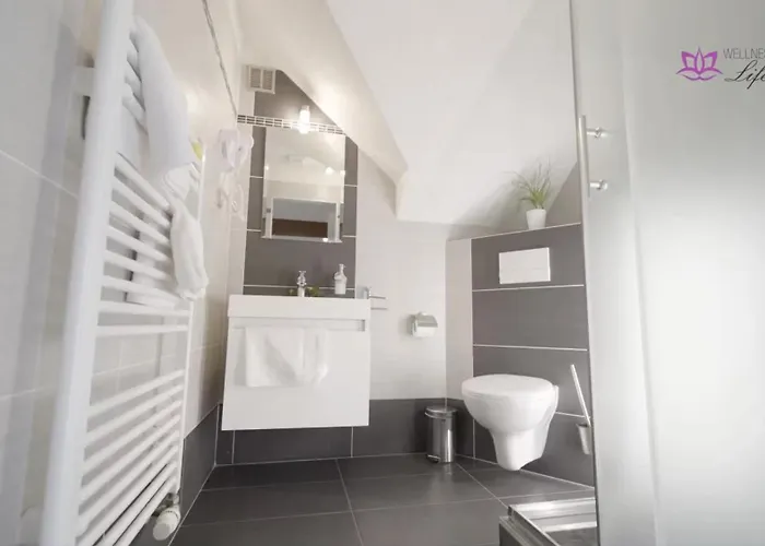 Hotel Wellness Pension Anilife 4*