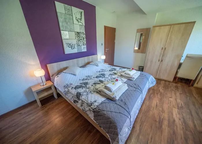 Wellness Pension Anilife 4* Cimer